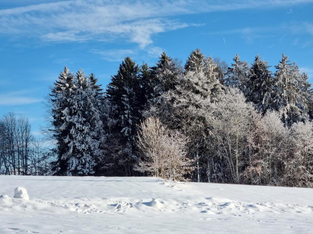 Ferienhaus Mauth Exteriér fotografie